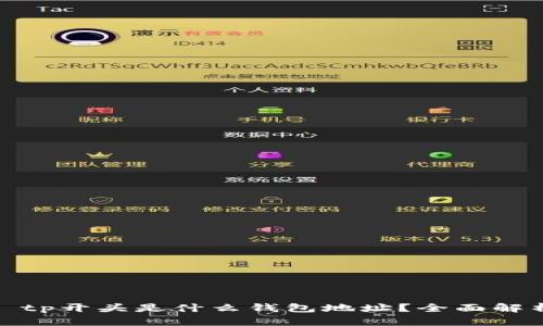 : tp开头是什么钱包地址？全面解析