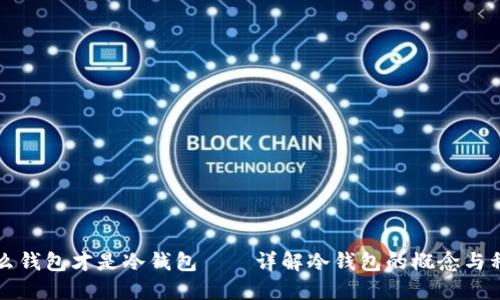 什么钱包才是冷钱包——详解冷钱包的概念与种类